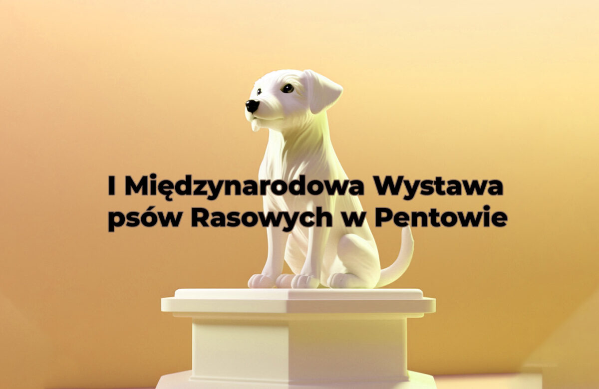 I Międzynarodowa Wystawa psów Rasowych